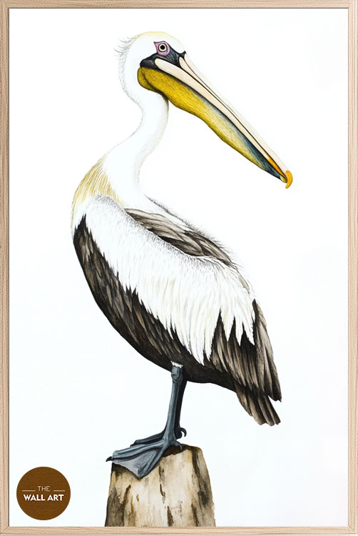 images/products/yellow_beack_pelican/yellow_beack pelican_OAK_P.jpg